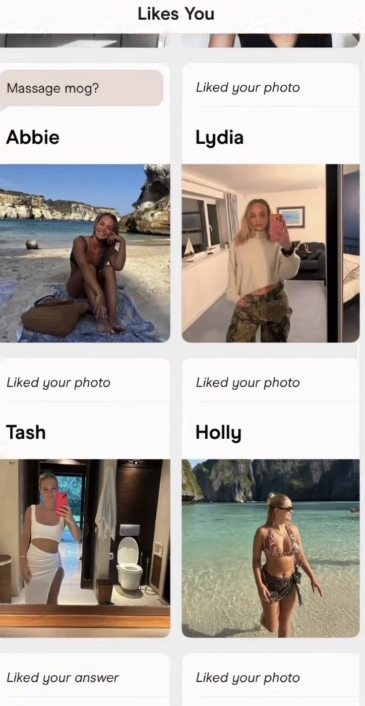 Dating app likes screenshot